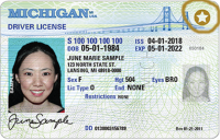 Michigan Drivers license