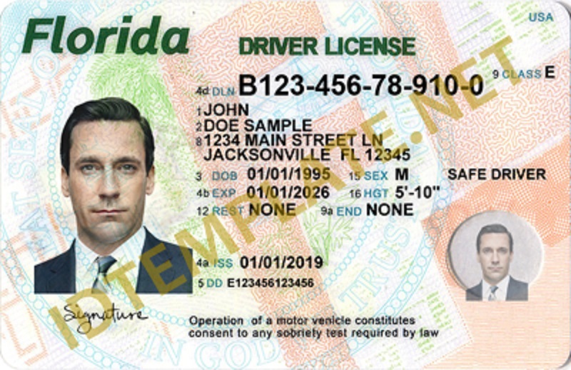 check your florida license