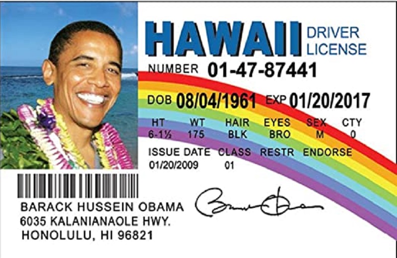 Your First-Time Hawaii Drivers License Guide