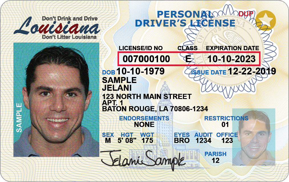 Your First-Time Louisiana Drivers License Guide