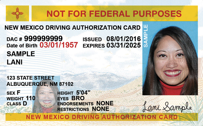 New Mexico Drivers Ed